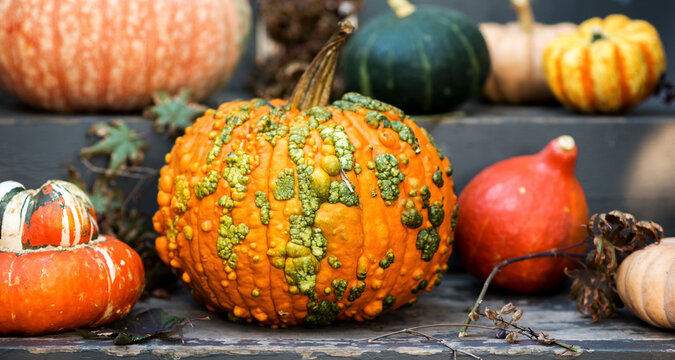 Pumpkins on Stairs