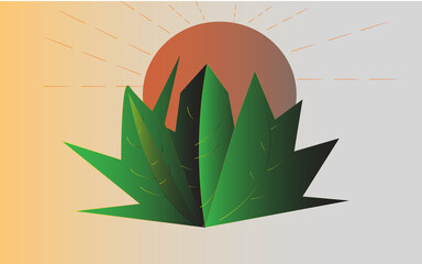 tree on sunrise time