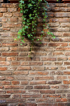 brick wall pattern