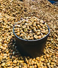 coffee beans
