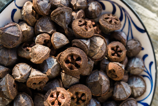 Eucalyptus globulus capsules