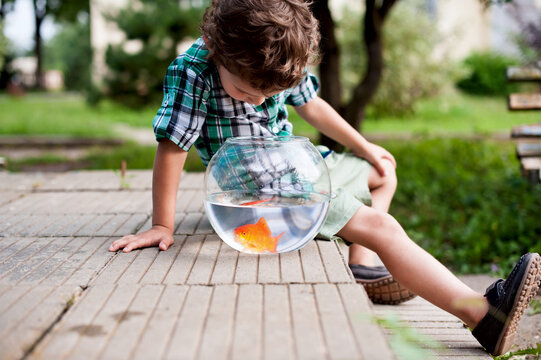 Little boy with aquarium decorative fish
