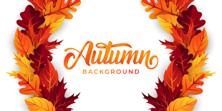 Autumn background vector with decorative leaves. Autumn fall Vector background template. Abstract Autumn background design template for ad, poster, banner, flyer, invitation, website or greeting card