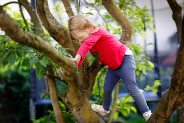 Naklejka na ściany i meble Little toddler girl climbing on tree on family backyard. Lovely happy child hanging on magnolia tree, active games with children outdoors.