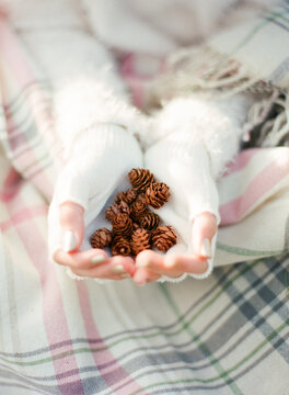 Fingerless gloved hands holding tiny pinecones on a plaid blanket