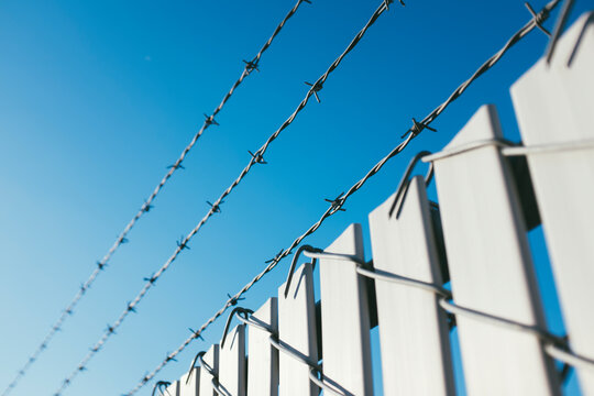 Barbed wire and chain-link fence, close up