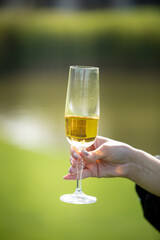 Womans Hand Holding A Glass Of White Wine, Toasting, Centered, Green Wineyard Background