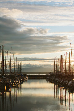 Sailboats moored in calm waters at dusk, Seattle, WA