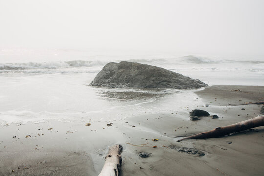 Coastline and driftwood at Second Beach, Olympic NP, WA