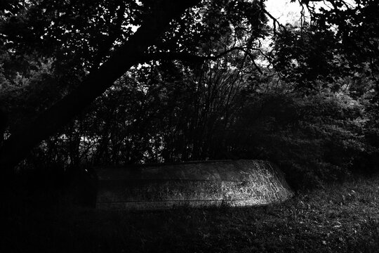 Disused boat with snail trails