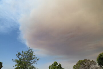 Wildfire Smoke in the Sky