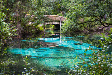 Natural clear fresh turquoise water oasis at Juniper springs with wooden bridge at Ocala national forest in central Florida, north of Orlando.