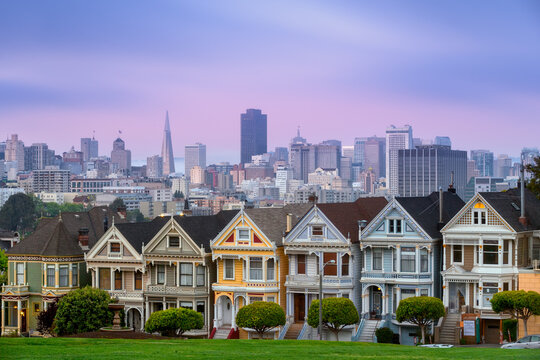 The Painted Ladies