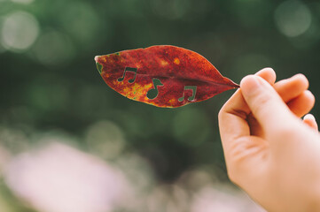 Hand holding a leaf with music notes