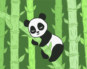 cute panda sleep in bamboo forest hand drawn cartoon illustration © Atikah