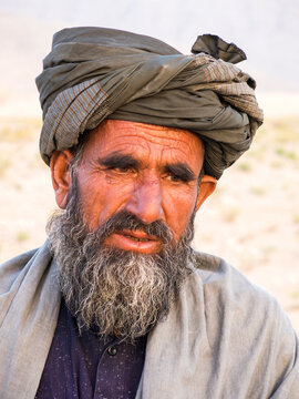 An old Gypsy Shepherd