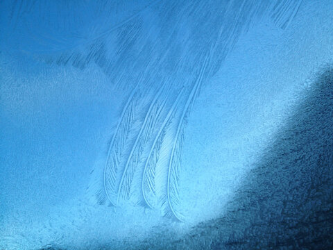 Frost Pattern On Window
