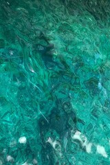 coral reef in the sea