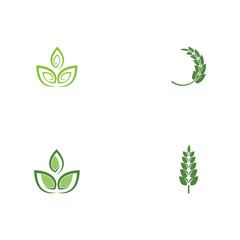 Set Leaf Logo Template vector symbol