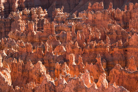 Pattern of carved spires in Bryce Canyon