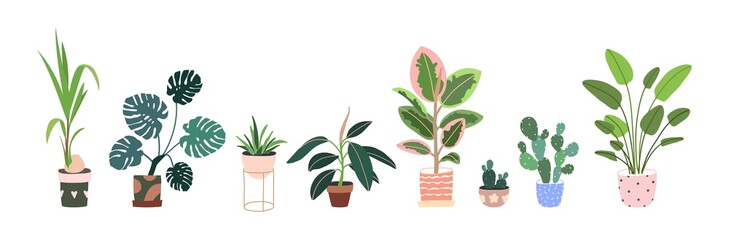 Home plants in flowerpot. Houseplants isolated. Set collection. Trendy hugge style, urban jungle decor. Hand drawn. Green, blue, pink, brown, beige, white colors. Print, poster, banner. Logo, label.