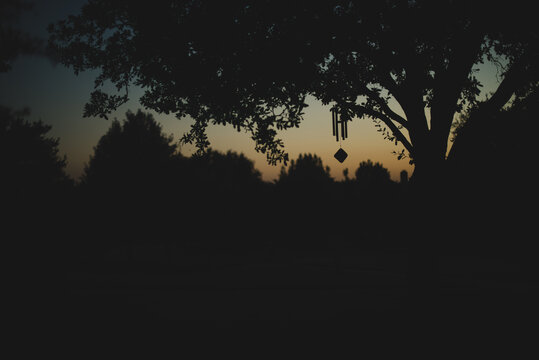 Wind chimes and trees at sunset