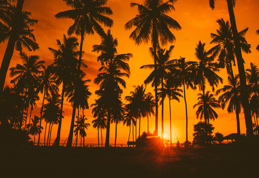 Dramatic golden sunset