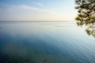 Shellfish farm on the open sea and islands in background