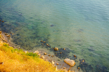 Rocky shore and shallow sea with vegetation around bay