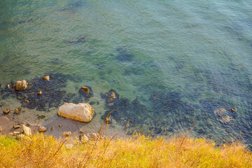 Rocky shore and shallow sea with vegetation around bay