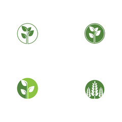 Set Leaf Logo Template vector symbol