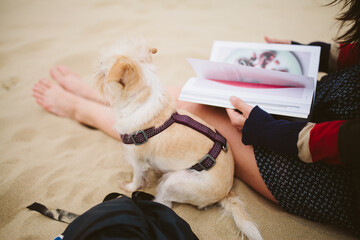 Exploring the Sand Dunes