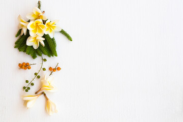 yellow flowers frangipani local flora of asia arrangement flat lay postcard style on background...