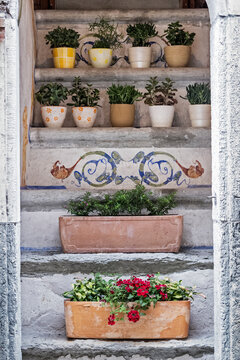 Succulents in pots on stairs