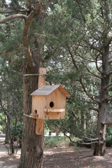 
In the park, a skillet hangs on a tree.
Wild nature.
For birds.