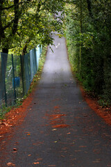 Naklejka premium Pedestrian path in the countryside