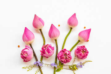 coloful pink flowers lotus and little purple flowers arrangement flat lay postcard style on background white 