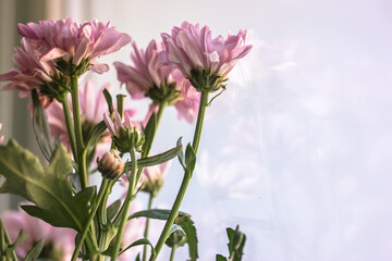 Bouquet of autumn flowers: pink chrysanthemums in a green glass vase
