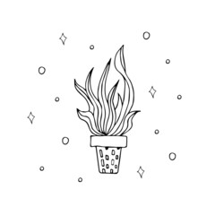 hand drawn magic flower. magic flower isolated on white.indoor flower boho clip art. single flower black and white.element for poster,logo, label,sign,emblem,sticker,card for social networks,postcard.