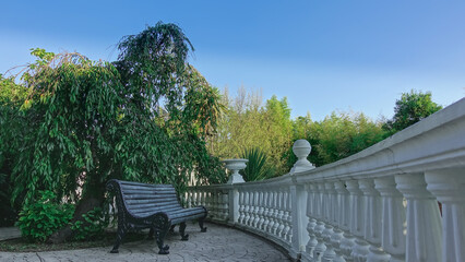 There is a bench in the park, under the leaning green branches of a tree. Wooden seat, cast metal legs. Ahead is a white balustrade. Bamboo thickets against the backdrop of the sunny sky. Russia. Soch