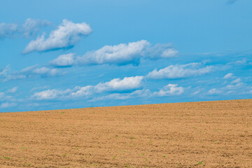 Fototapeta premium Acker mit blauem Wolkenhimmel