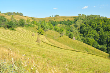 Dumesti, Alba County, Romania a little piece of heaven