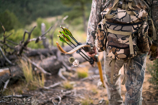 Elk Hunting in Colorado