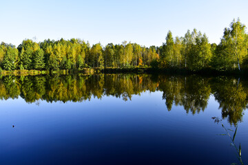 Obraz premium mirror surface of a pond in a village