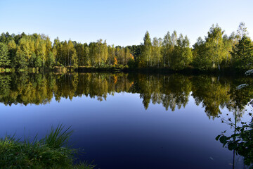 Fototapeta na wymiar mirror surface of a pond in a village