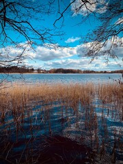 landscape with lake h
