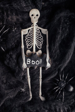 Toy Skeleton Holding a Halloween Bat Biscuit