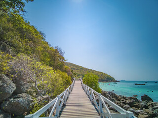 Obraz premium Wooden bridge with beautiful seascape on koh lan island Pattaya Thailand.Koh lan island is the Famous island near Pattaya city thailand