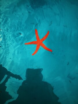 no, this is patrick!