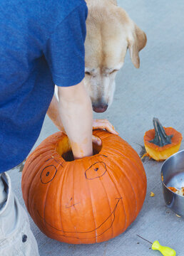 series of boy carving halloween pumpkin
